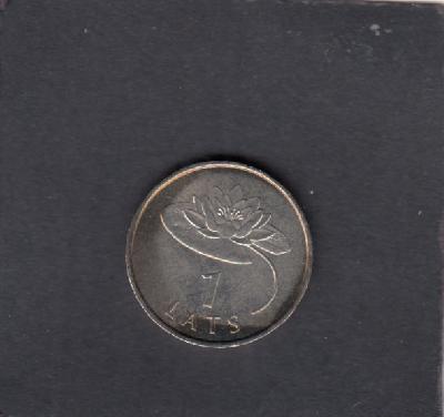 Beschrijving: 1 Lats WATERLILY